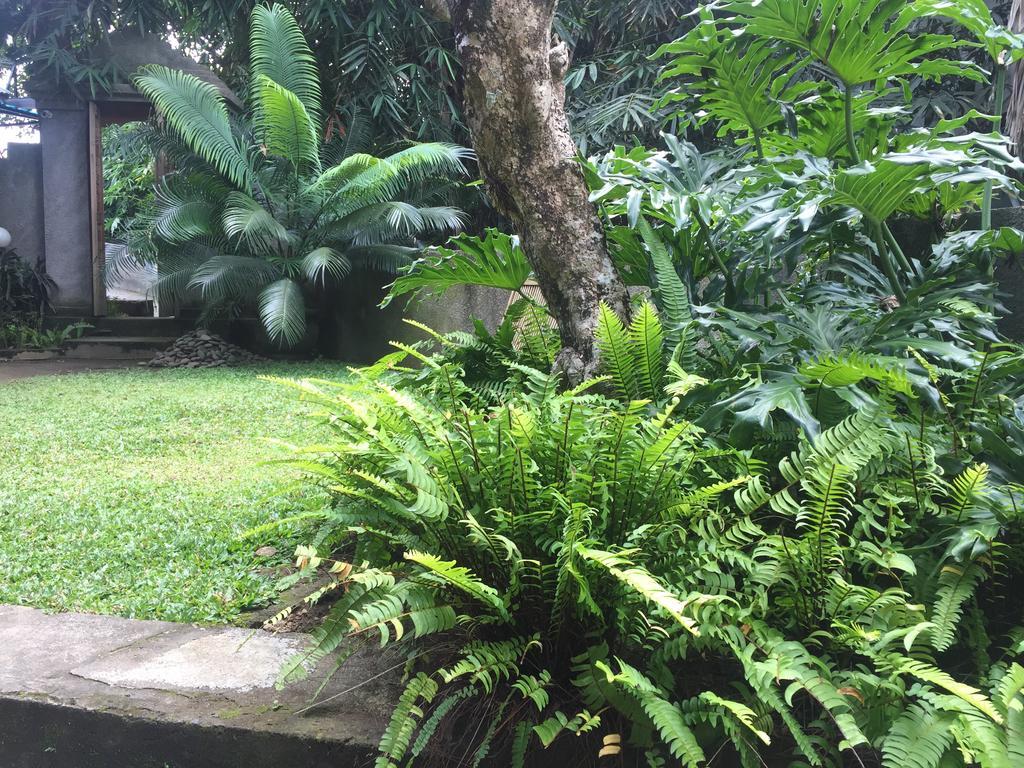 Kiyan Teges Ubud Hotel Exterior foto